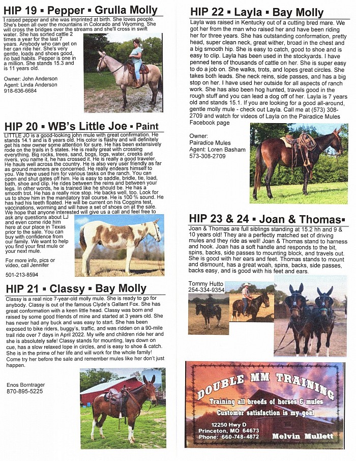 Oklahoma Mule Sale Fall 2022 Catalog