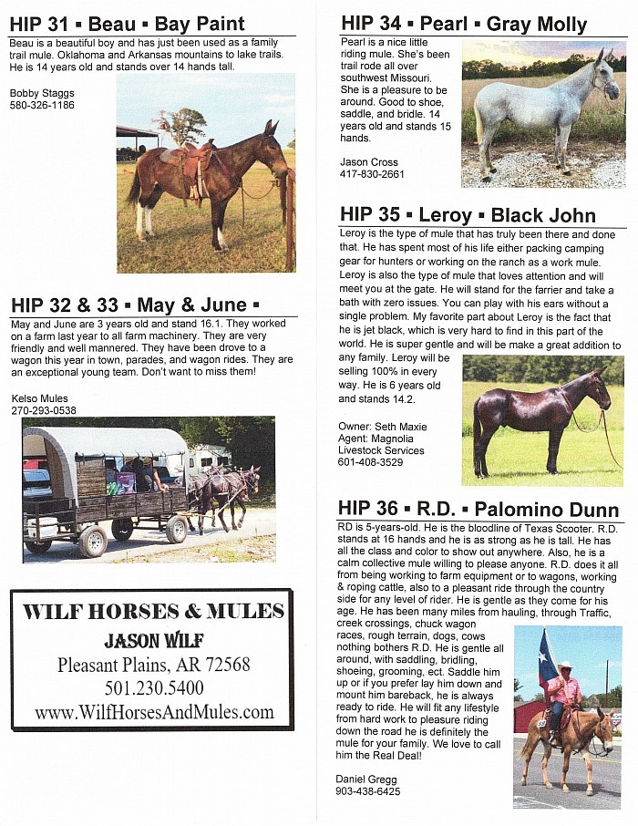 Oklahoma Mule Sale Fall 2022 Catalog
