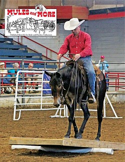 John Logsdon and Willie Missouri Mule Makeover Champion