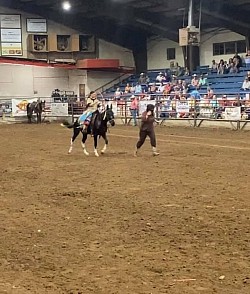 Lydea and Spade chasing a buffalo