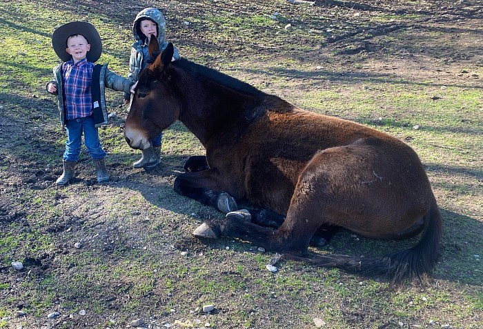 Bella and the 2 littles