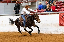 EXCA Logsdon mules Oklahoma mule sale Ada Oklahoma mule sale mules for sale quarter horse for sale