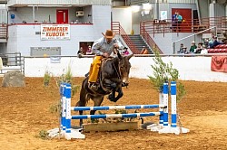 EXCA Logsdon mules Oklahoma mule sale Ada Oklahoma mule sale mules for sale quarter horse for sale