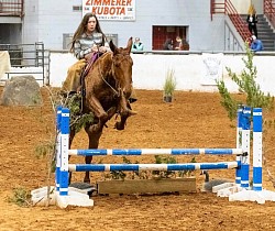 EXCA Logsdon mules Oklahoma mule sale Ada Oklahoma mule sale mules for sale quarter horse for sale