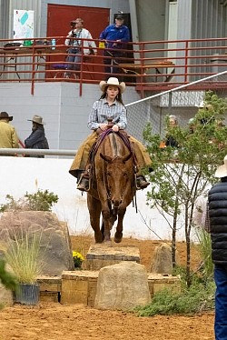 EXCA Logsdon mules Oklahoma mule sale Ada Oklahoma mule sale mules for sale quarter horse for sale