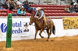 EXCA Logsdon mules Oklahoma mule sale Ada Oklahoma mule sale mules for sale quarter horse for sale