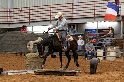 EXCA Logsdon mules Oklahoma mule sale Ada Oklahoma mule sale mules for sale quarter horse for sale