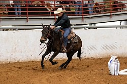 EXCA Logsdon mules Oklahoma mule sale Ada Oklahoma mule sale mules for sale quarter horse for sale