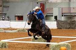 EXCA Logsdon mules Oklahoma mule sale Ada Oklahoma mule sale mules for sale quarter horse for sale