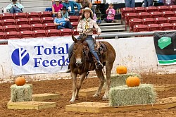 EXCA Logsdon mules Oklahoma mule sale Ada Oklahoma mule sale mules for sale quarter horse for sale