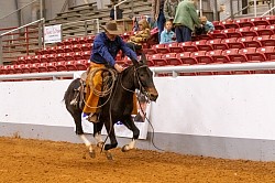 EXCA Logsdon mules Oklahoma mule sale Ada Oklahoma mule sale mules for sale quarter horse for sale