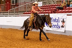 EXCA Logsdon mules Oklahoma mule sale Ada Oklahoma mule sale mules for sale quarter horse for sale