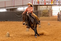 EXCA Logsdon mules Oklahoma mule sale Ada Oklahoma mule sale mules for sale quarter horse for sale