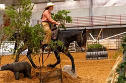 EXCA Logsdon mules Oklahoma mule sale Ada Oklahoma mule sale mules for sale quarter horse for sale