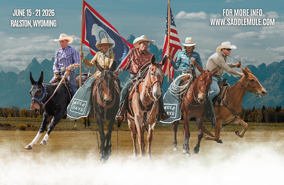 Jake Clark’s mule days huzzah valley mule days mules of Oklahoma mules for sale in Oklahoma Ada Oklahoma mule sale