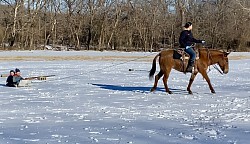 Rockin o mule of oklahoma