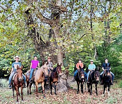 Ada Oklahoma mule sale huzzah valley mule days Jake Clark mule days