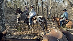 Ada Oklahoma mule sale huzzah valley mule days Jake Clark mule days