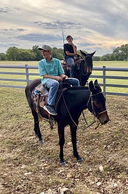 Ada Oklahoma mule sale huzzah valley mule days Jake Clark mule days
